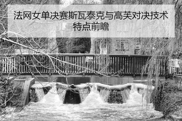 法网女单决赛斯瓦泰克与高芙对决技术特点前瞻