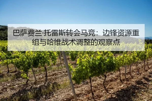 巴萨费兰·托雷斯转会马竞：边锋资源重组与哈维战术调整的观察点